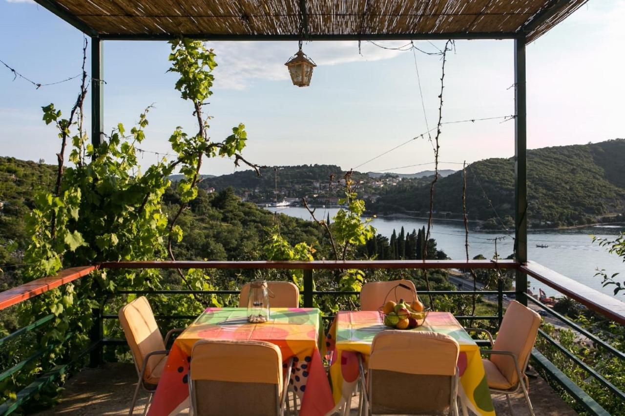 Bodul Vacation Apartment Zaton  Eksteriør billede